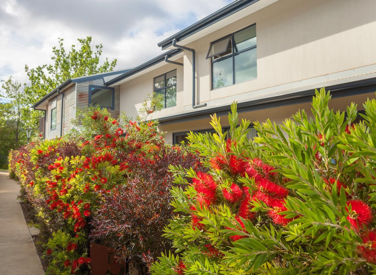 One Of A Kind Apartments Canberra Exteriör bild